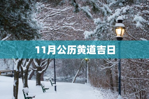 11月公历黄道吉日