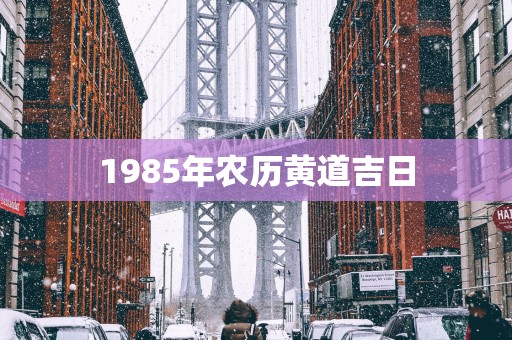1985年农历黄道吉日
