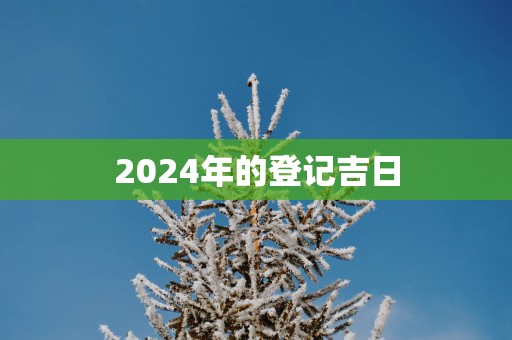 2025年的登记吉日