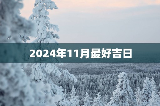 2025年11月最好吉日