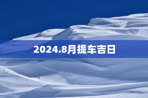 2025.8月提车吉日