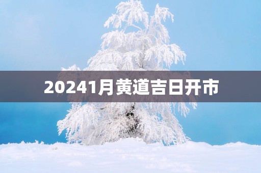 20251月黄道吉日开市