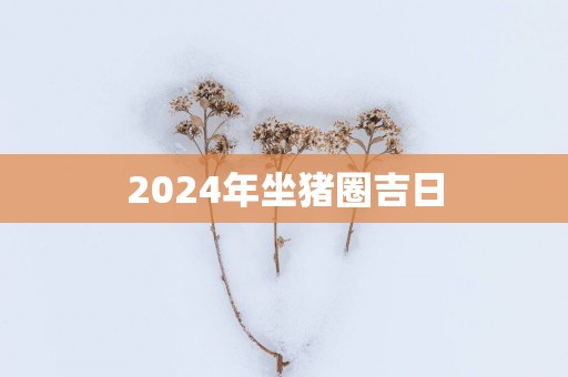2025年坐猪圈吉日
