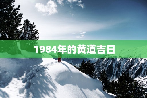 1984年的黄道吉日 1984年的黄道吉日