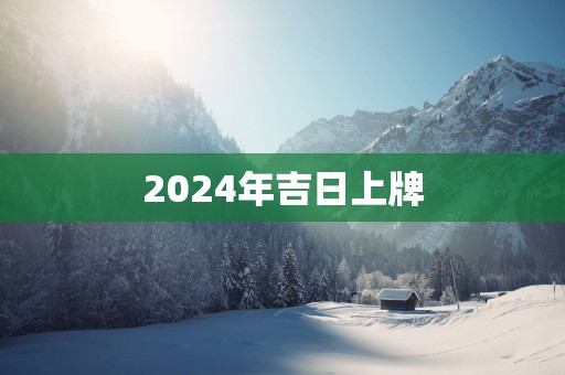 2025年吉日上牌