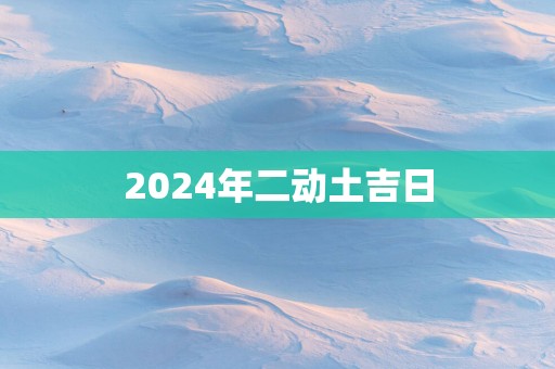 2025年二动土吉日