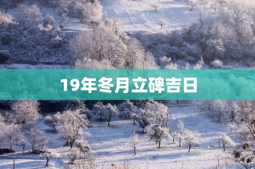 19年冬月立碑吉日