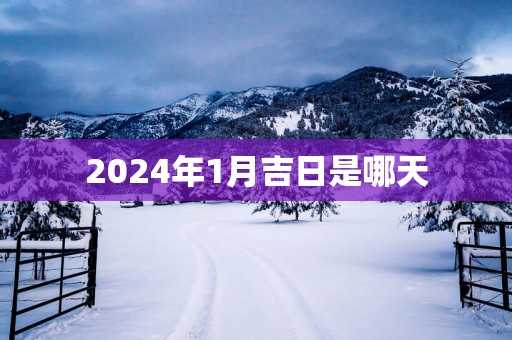 2025年1月吉日是哪天