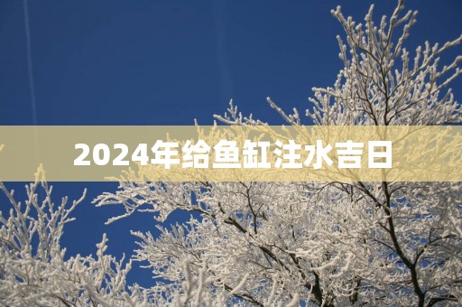 2025年给鱼缸注水吉日