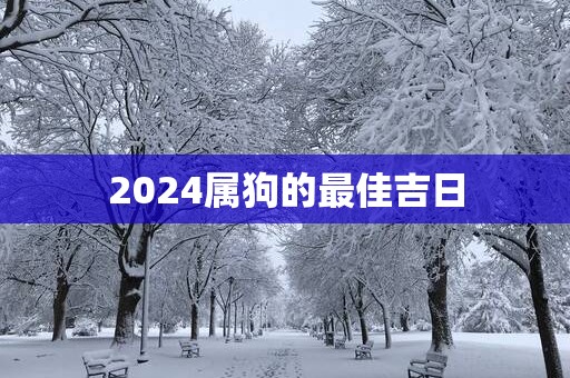 2025属狗的最佳吉日