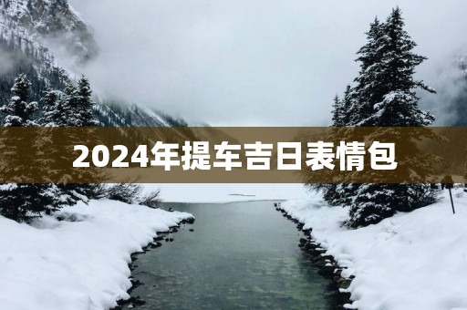 2025年提车吉日表情包
