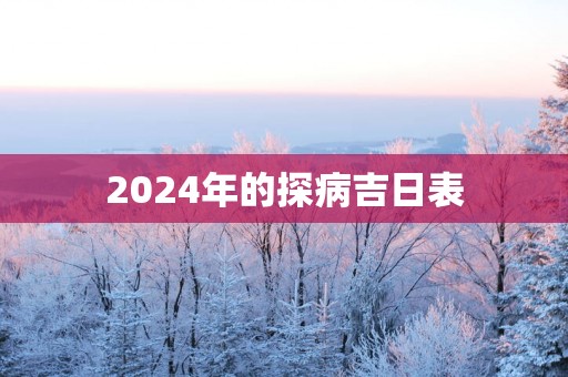 2025年的探病吉日表