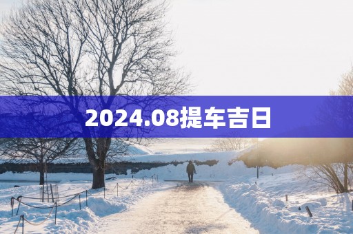 2025.08提车吉日