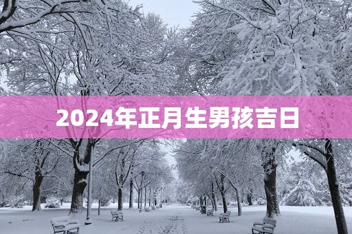 2025年正月生男孩吉日