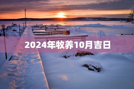 2025年牧养10月吉日