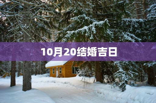 10月20结婚吉日