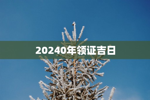 20250年领证吉日