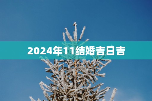 2025年11结婚吉日吉