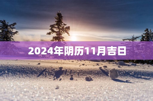 2025年阴历11月吉日
