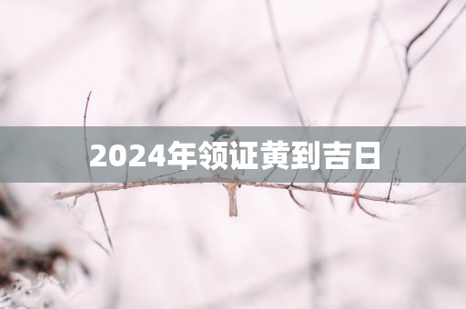 2025年领证黄到吉日