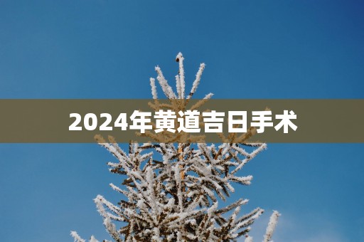 2025年黄道吉日手术
