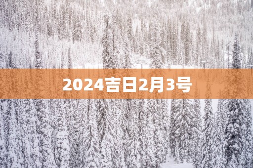 2025吉日2月3号