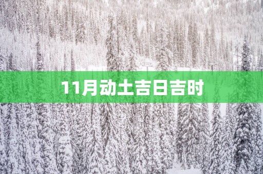 11月动土吉日吉时