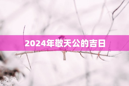 2025年敬天公的吉日