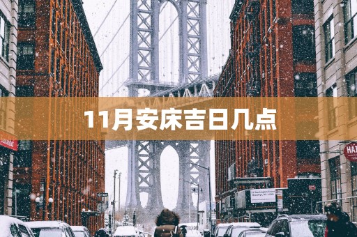 11月安床吉日几点