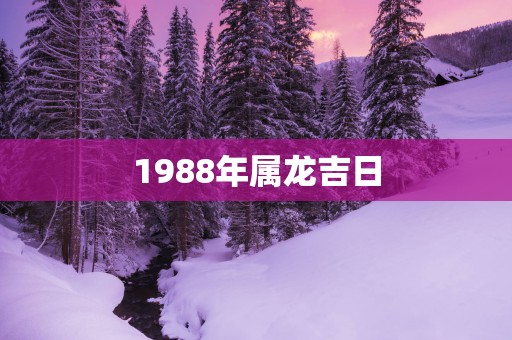 1988年属龙吉日