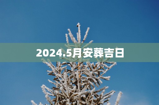 2025.5月安葬吉日