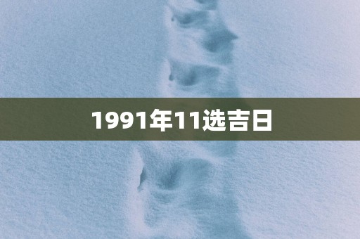 1991年11选吉日