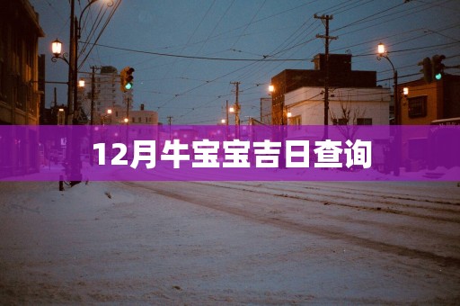 12月牛宝宝吉日查询