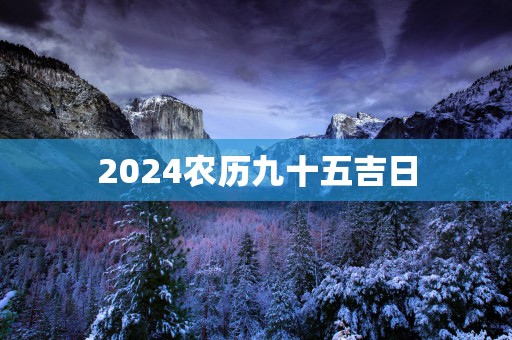 2025农历九十五吉日