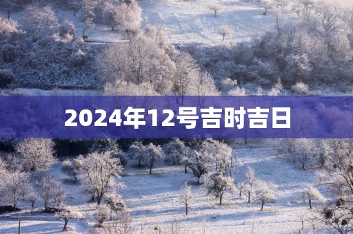 2025年12号吉时吉日
