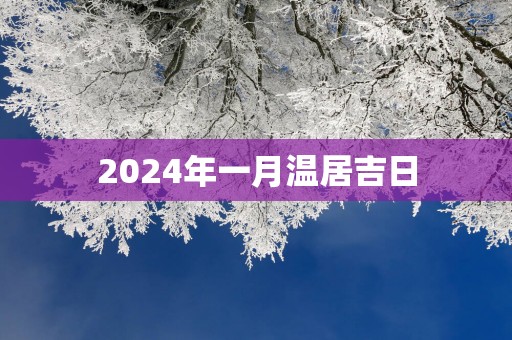 2025年一月温居吉日