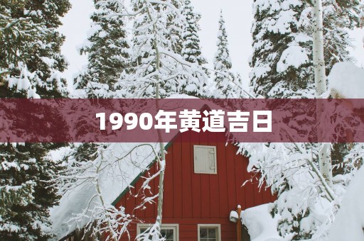 1990年黄道吉日