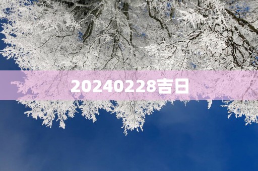 20250228吉日