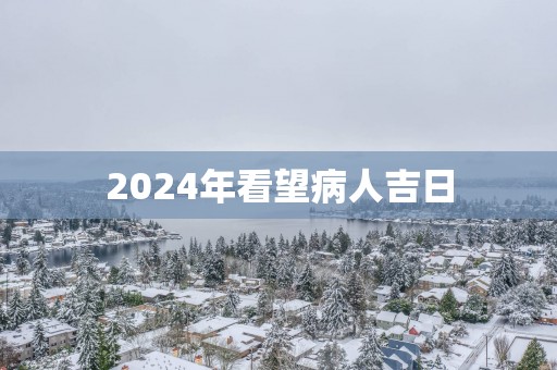 2025年看望病人吉日