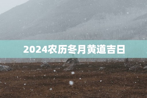2025农历冬月黄道吉日