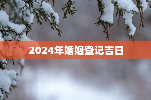 2025年婚姻登记吉日