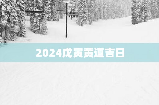 2025戊寅黄道吉日