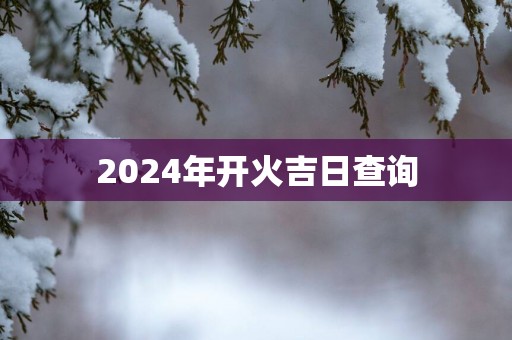 2025年开火吉日查询