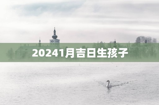 20251月吉日生孩子