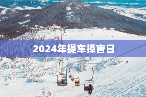 2025年提车择吉日