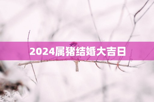 2025属猪结婚大吉日