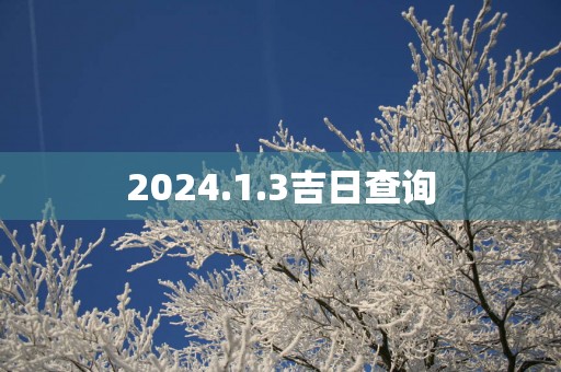 2025.1.3吉日查询