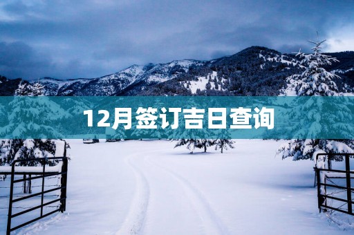 12月签订吉日查询