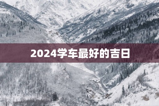 2025学车最好的吉日