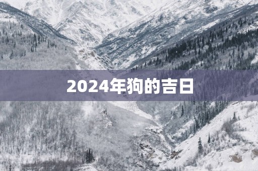 2025年狗的吉日